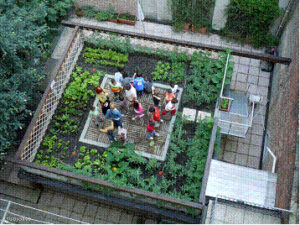 Scopri di più sull'articolo OURSECRETGARDEN